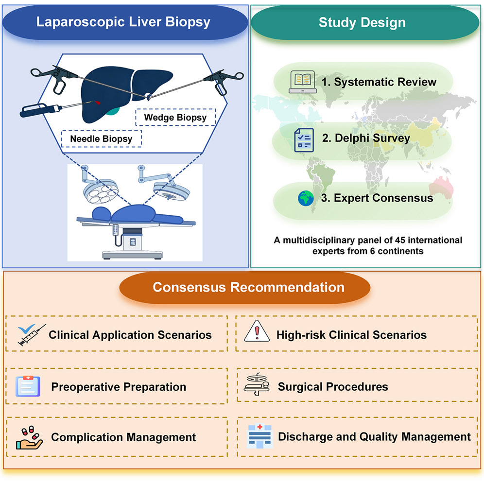 An international multidisciplinary consensus statement on laparoscopic liver biopsy.jpg