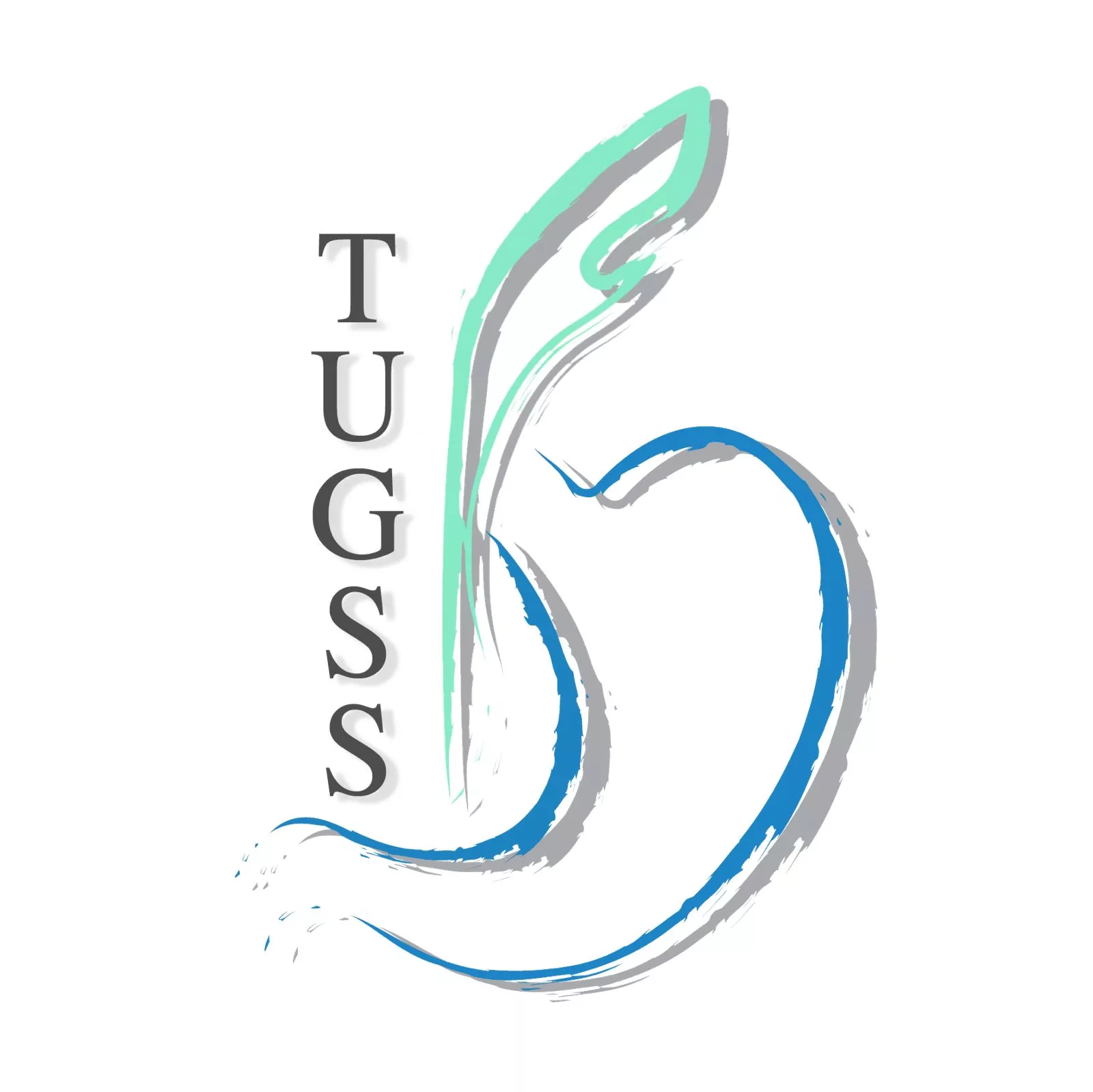 The Upper Gastrointestinal Surgical Society
